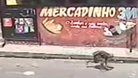 Robber ends up with a broken spine