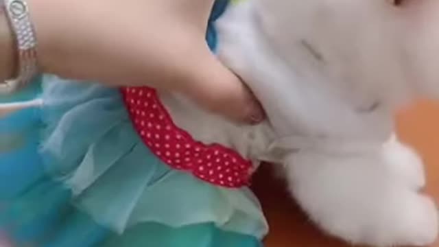 #shorts 🤣Try Not To Laugh🤣 #Funny Dog Video