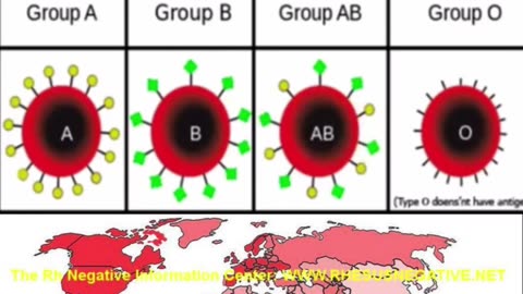 Blood types - what does it mean to be Rhesus negative?