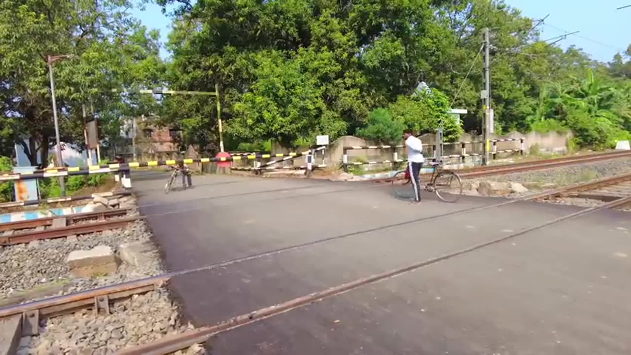 Snake Crossing Rail Road