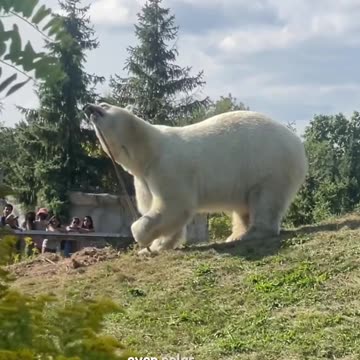 If you only had 2 days in Canada, here’s what I would do…