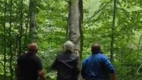 Falling tree sends dude flying in the air👏🏽