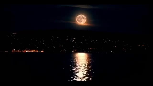 Video of our nature
