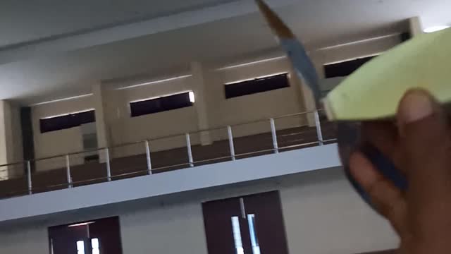 the plane took off, fell straight down