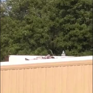 the gunman lying motionless on the roof during the failed assassination attempt on Mr. Trump