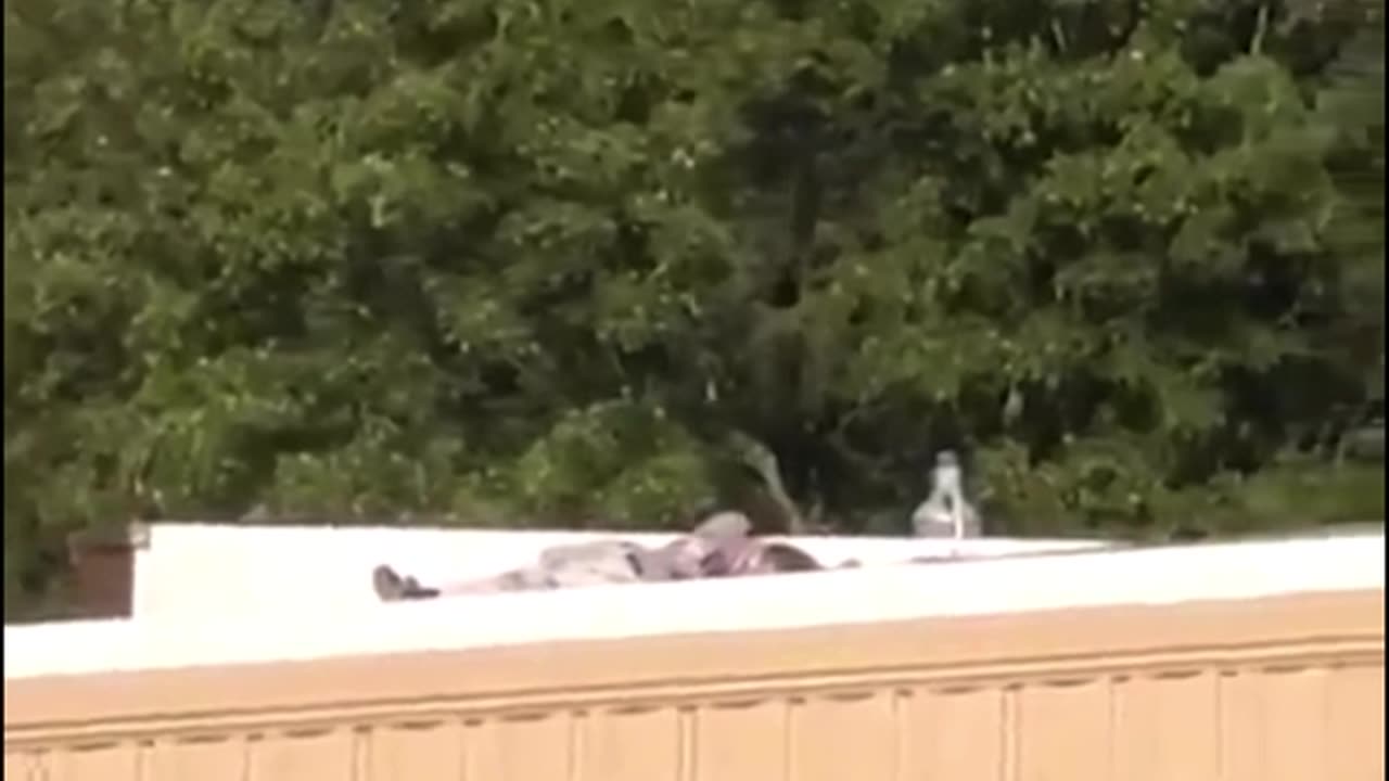 the gunman lying motionless on the roof during the failed assassination attempt on Mr. Trump