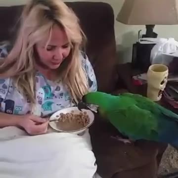 Sharing breakfast with a parrot
