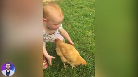 Funny baby video chicken moments 🤣