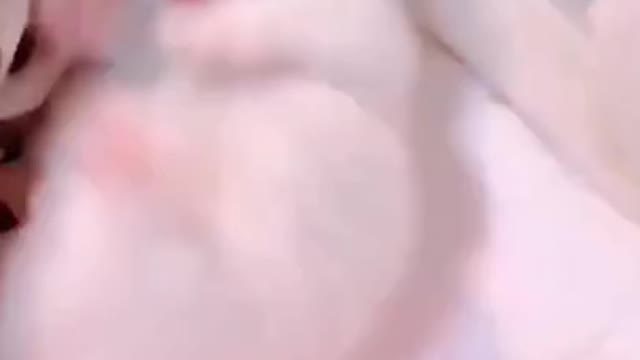 ute cat and funny cat shorts❤#shorts #cat #cutecat #funnycats #viral