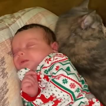 Hide and seek time with lovely kitten 💓💓💓💓💓💓