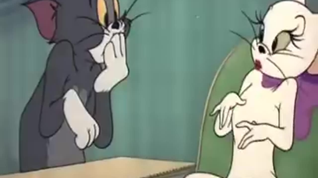 Tom and jerry cartoon video