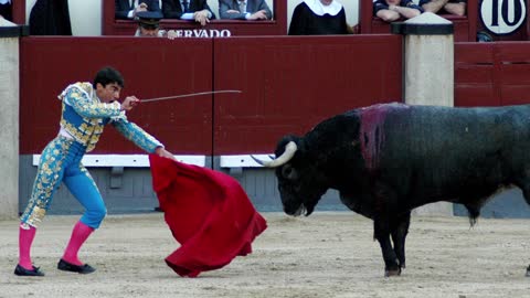 ¡Te veo ve... venir! [Warning: Bullfight images] [original music video]