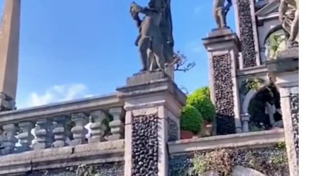 White peacock flying from tall building