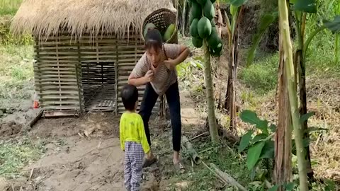 Harvesting papaya & banana flowers