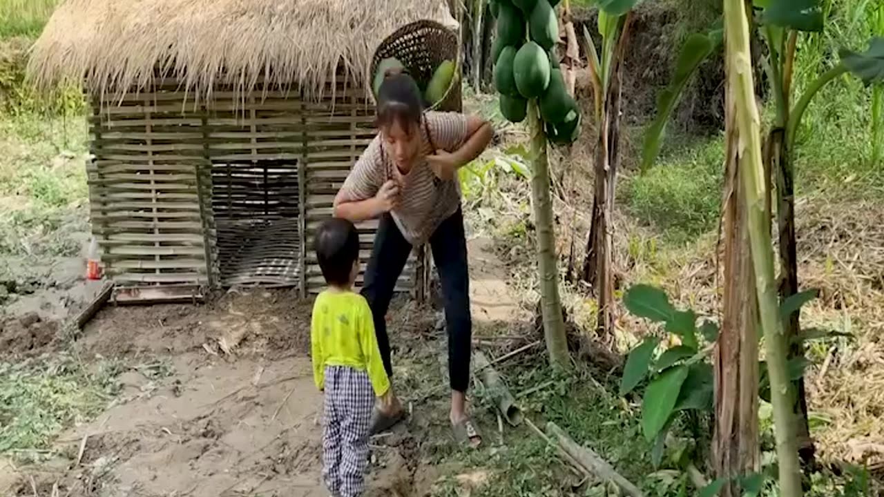 Harvesting papaya & banana flowers