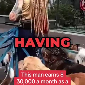 This man earns $30,000 a month as a dog-sitter!