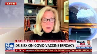 Dr. Birx Finally Admits What We Knew All Along