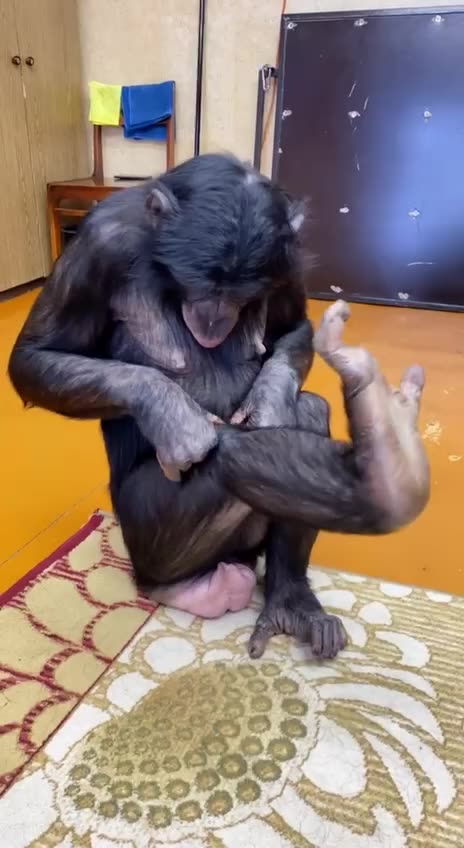 Everything looks good no need to go to Dr