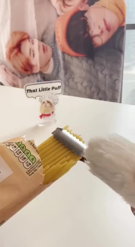 CHILL... and cook it if you can 😂😂🤣🤣🤦‍♂️ 😺😺😺