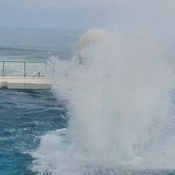 Another brilliant Orca performance