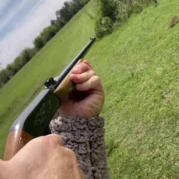 Browning 22 Semi-Auto rifle