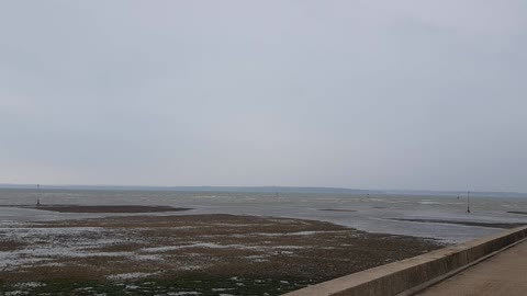 Sea at low tide .
