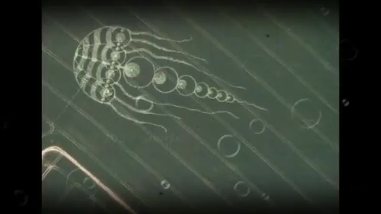 JELLYFISH CROP CIRCLE | Crop Circle Decoding, Part 3 🎐🐟🐠🦐🐙🦂🐬🐡👀🎏🌾🌾�