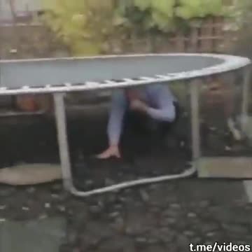 Who is joking with the other?😅