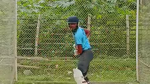 Cricket tips