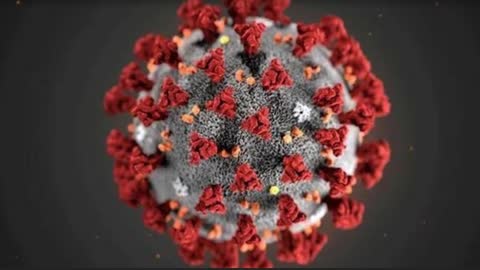 Latest on the Omicron & Ukraine Crises