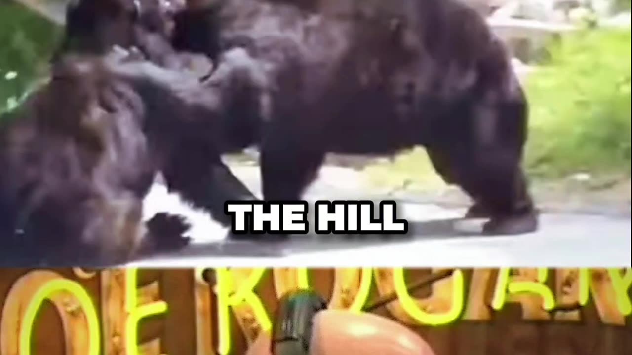 Joe Rogan Commentates On Bears' UFC Fight