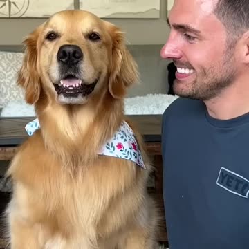 How i trained my dog to smile #