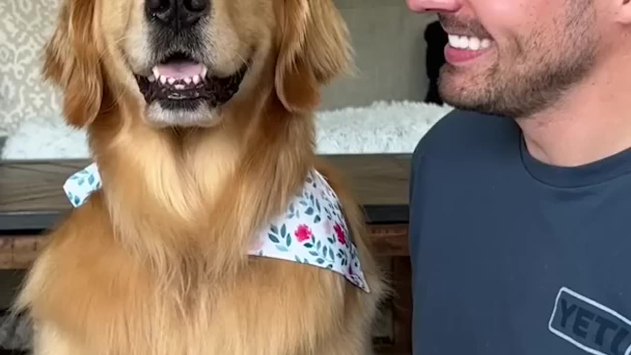 How i trained my dog to smile #