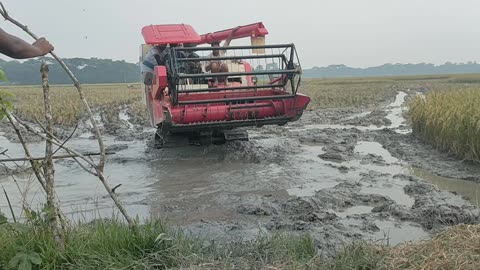 লোভল হারভেষ্টার ভিডিও ll Lovol Harvester working video