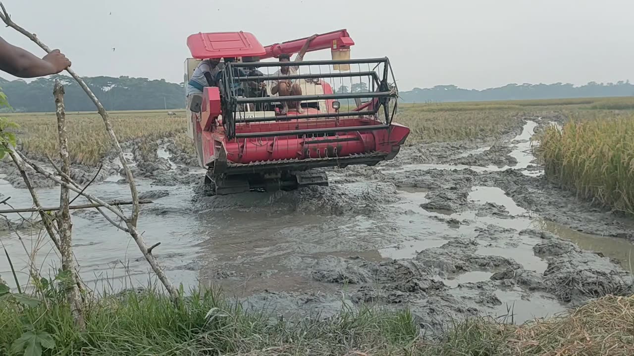 লোভল হারভেষ্টার ভিডিও ll Lovol Harvester working video