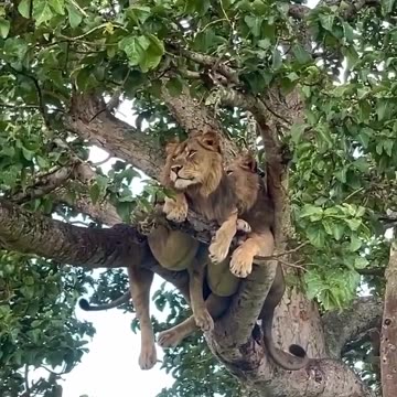 I sit high and look far away!