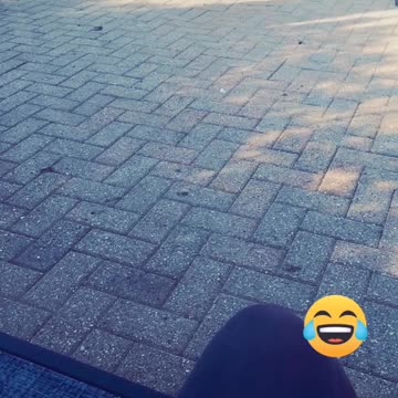 Funny Emu dancing / house of pain jump around 🎶