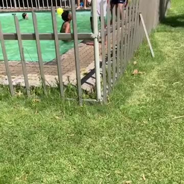 WHITES-ONLY SWIMMING POOL?