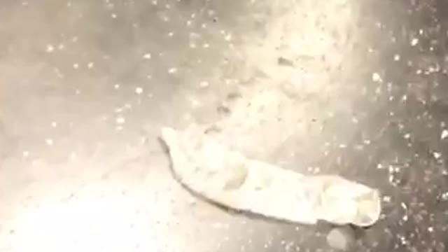 Happy thanksgiving condom on floor of subway train