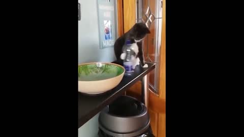 not here !