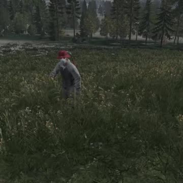 I Got Betrayed In DayZ