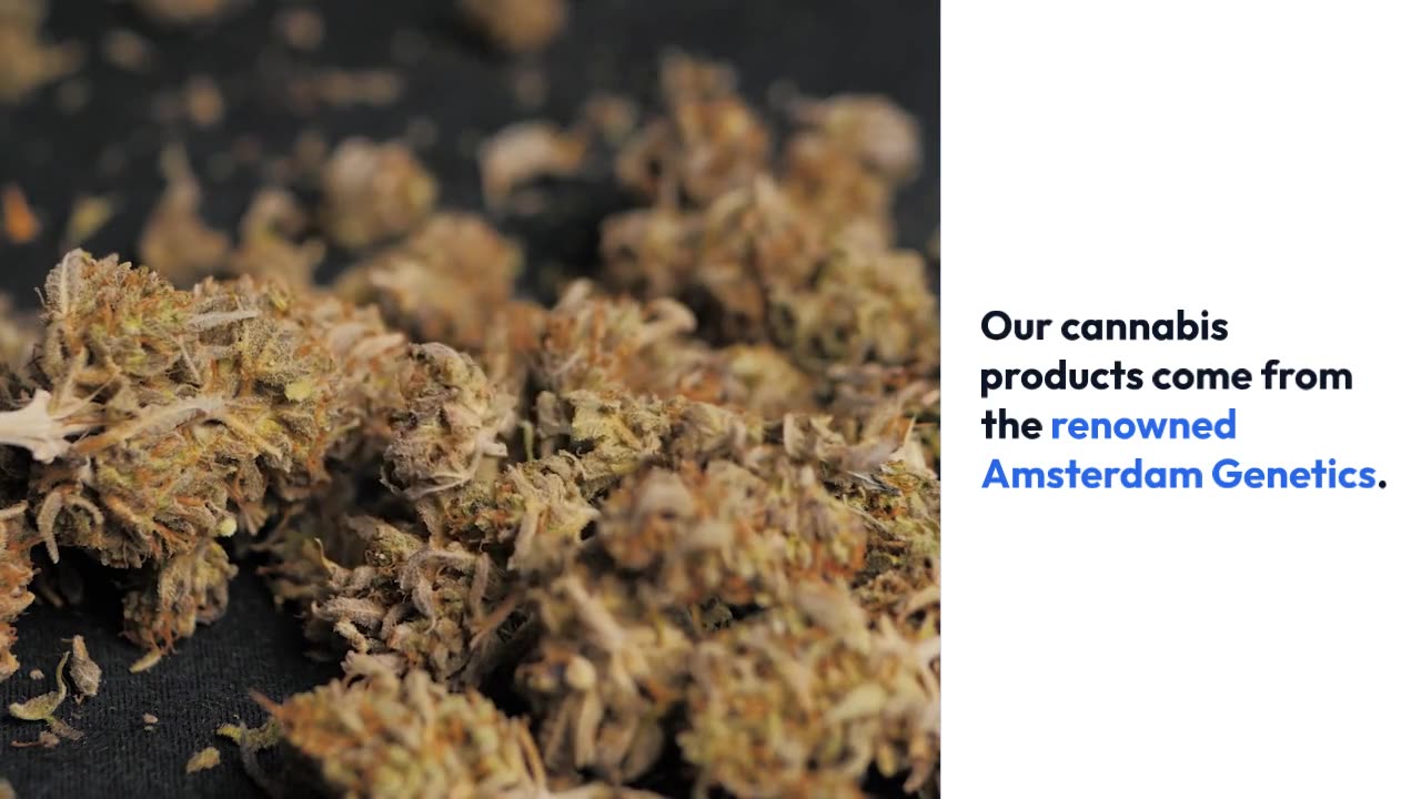 Discover De Kroon Cannabis Experience