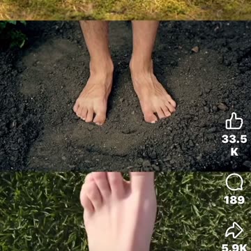 Trees and Ground Vibration at 7.83hz