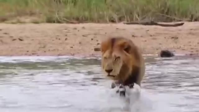 Beautiful nature