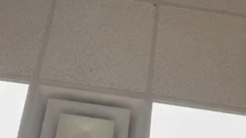 DOCTOR ADMITS ONCE HE INTUBATES PATIENTS 99% OF THOSE