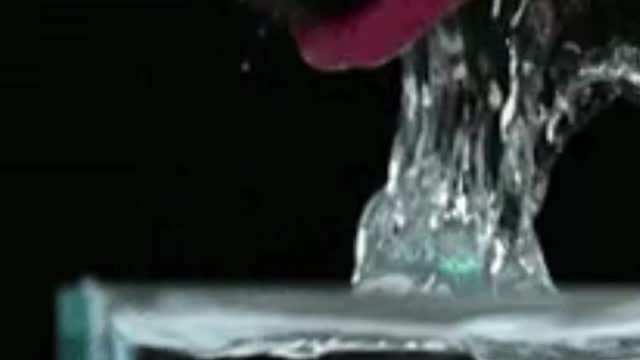 KNOW HOW DOGS DRINK WATER?