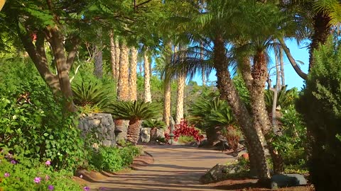 Garden relaxing meditation background - 1080 Full HD (with exercise)