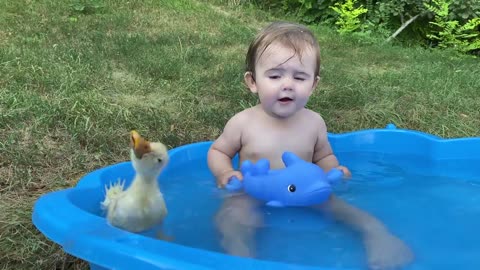 Funny baby reaction duckling to the pool