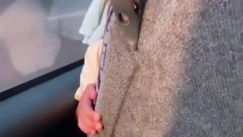 Baby on bus adorably plays hide-and-seek