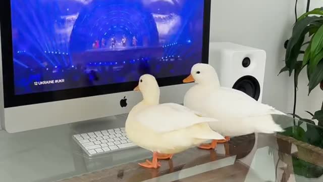 Who won Eurovision